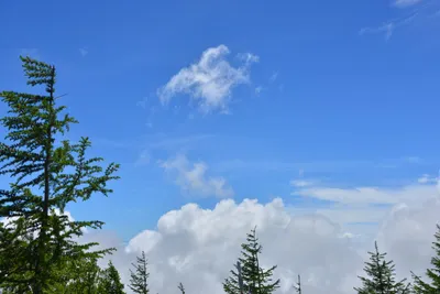 DSC_3607 (Large).JPG